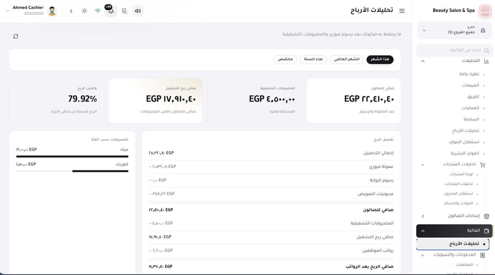 المحاسبة والأرباح